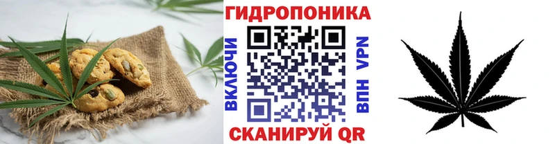 Canna-Cookies конопля  продажа наркотиков  Шагонар 