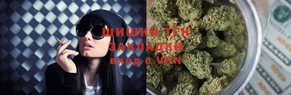 прущие крисы Надым